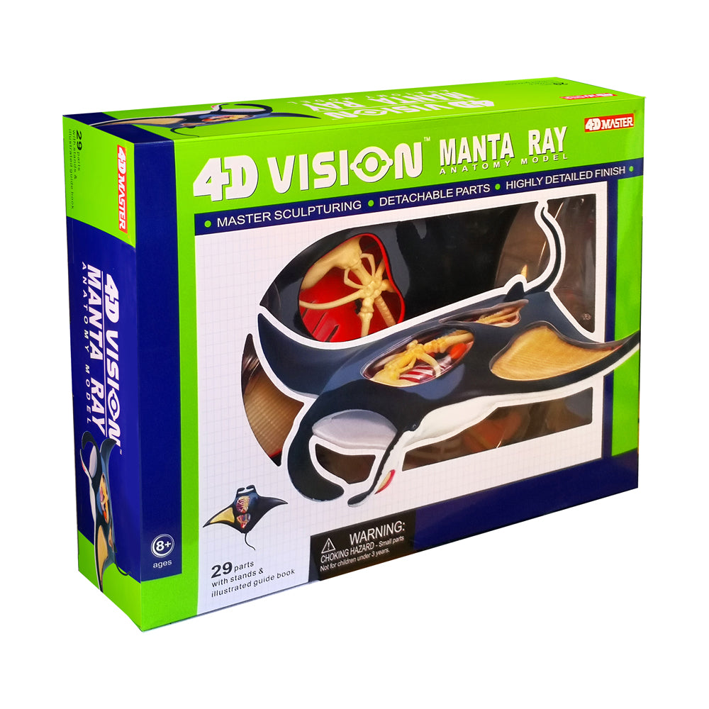 4D Master Manta Ray Anatomy Model Kit