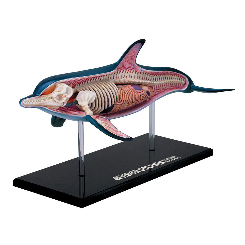 4D Master Vision Dolphin Anatomy Model - Educational Puzzle Toy