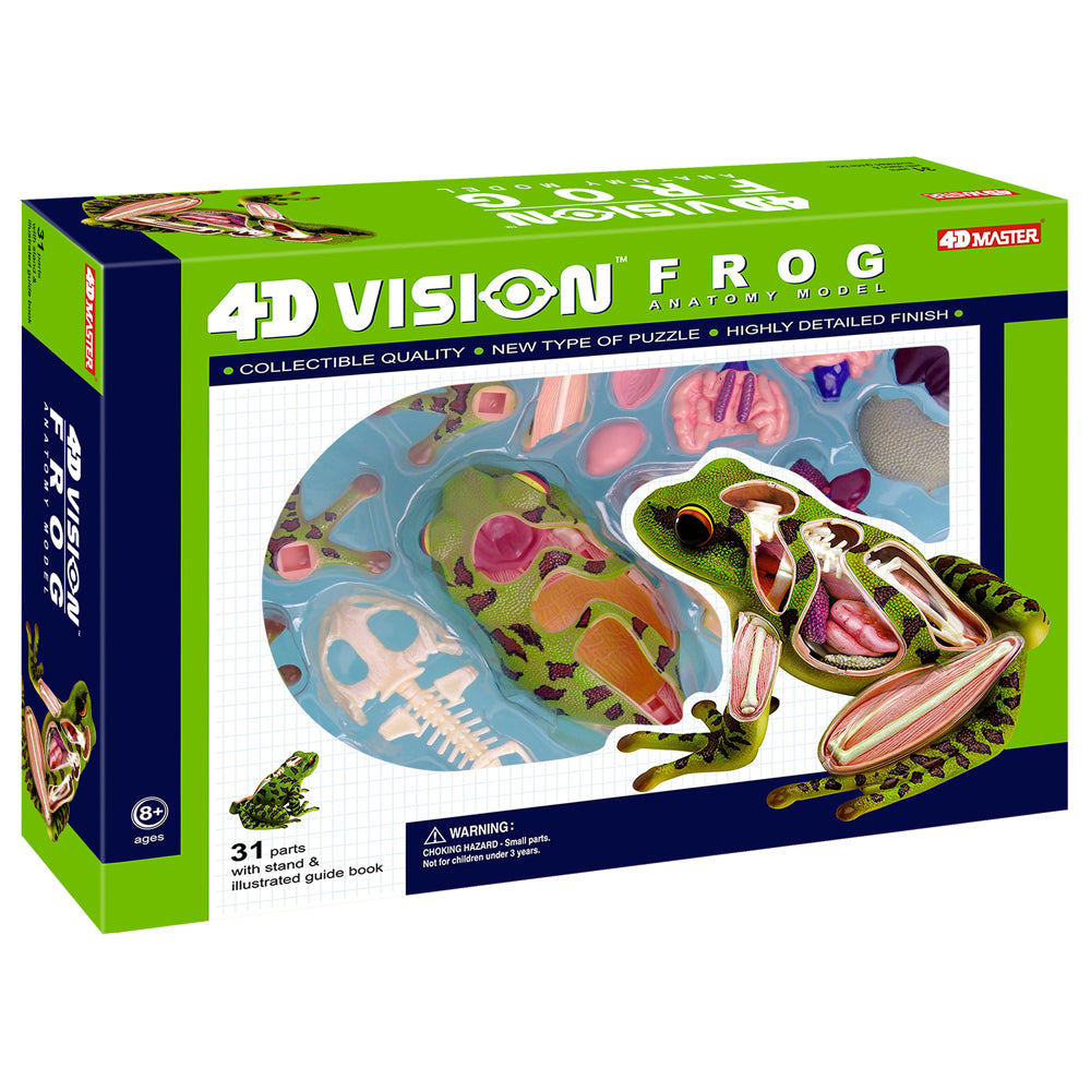 4D Master Frog Anatomy Model Educational Science Kit