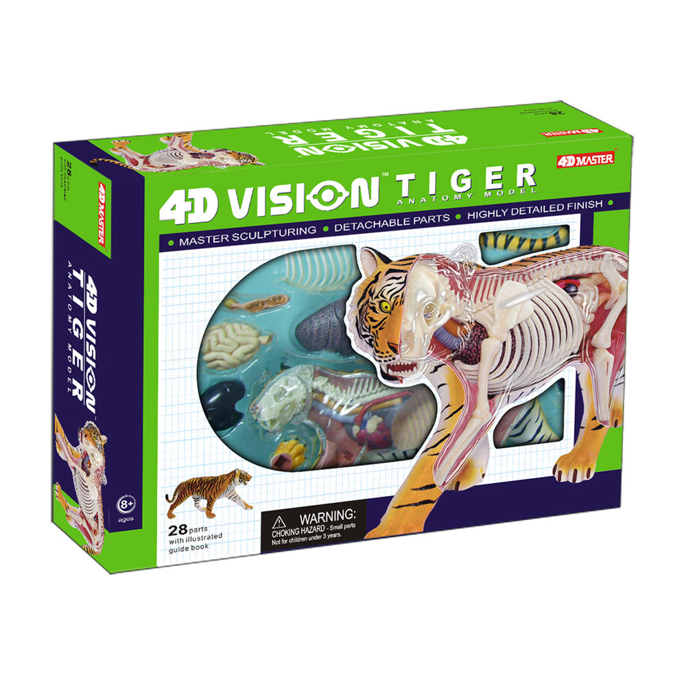 4D Master Tiger Anatomy Model Educational Kit