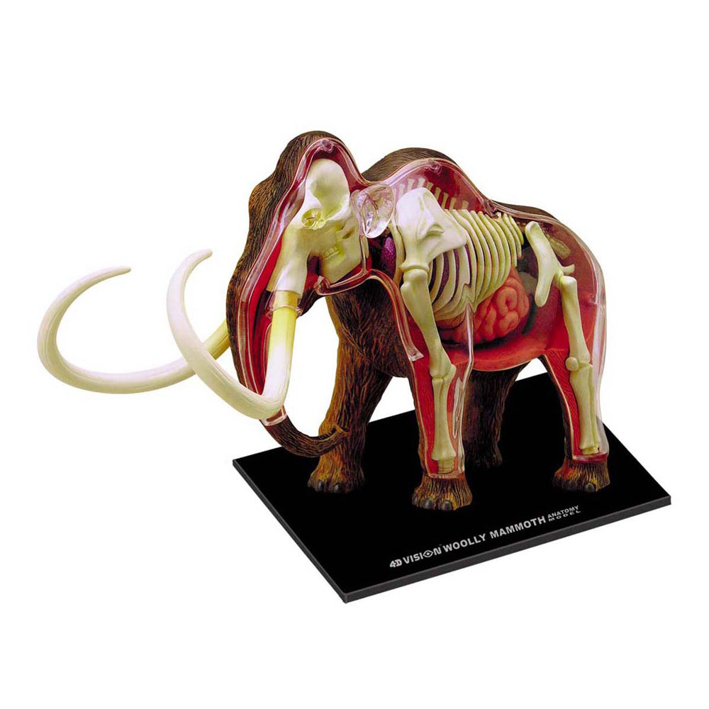 4D Master Wooly Mammoth Anatomy Model - Educational Science Toy – Toys