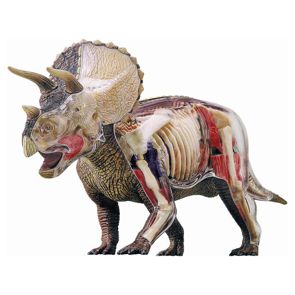 4D Master Triceratops Anatomy Model - Detailed Dinosaur Learning Kit