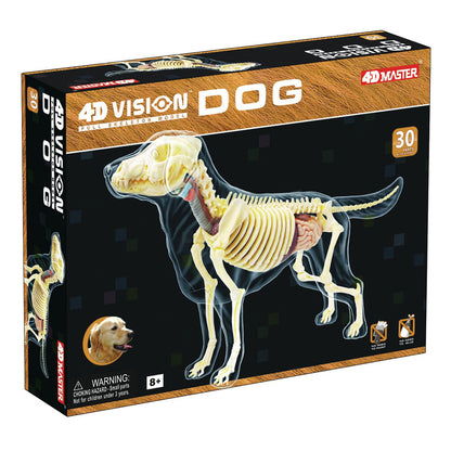 4D Master Vision - Full Skeleton Dog Model - Educational Anatomy Kit