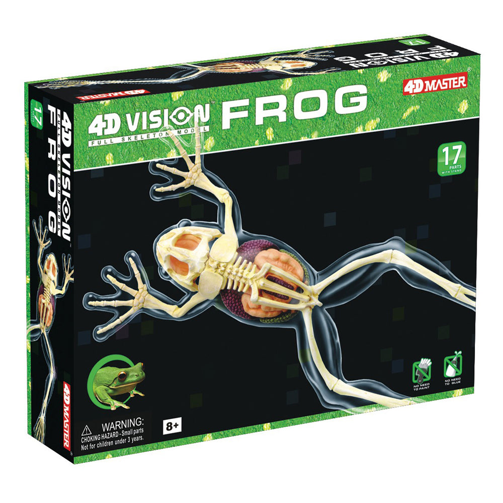 4D Master Full Skeleton Frog Model Anatomy Kit