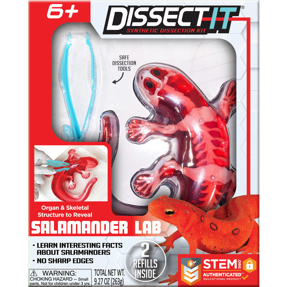 Top Secret Toys Dissect-It Salamander Synthetic Dissection Kit - STEM Educational Set