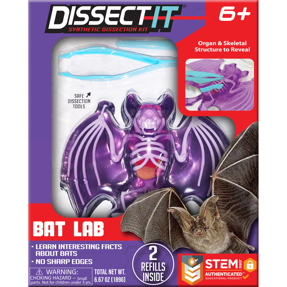 Dissect-It Bat Lab: Synthetic Dissection Kit with STEM Learning Guide for Kids Ages 6+