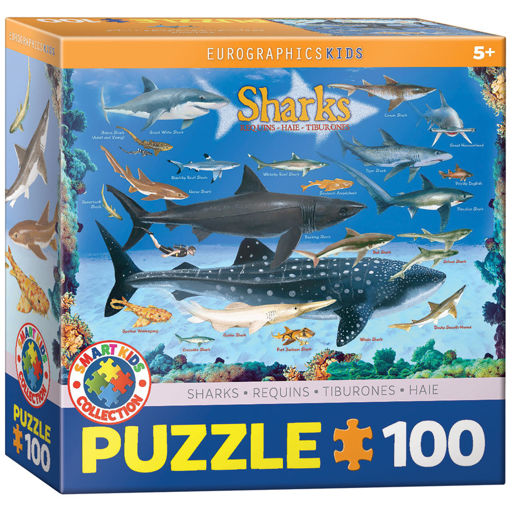 Eurographics Shark Chart Educational Jigsaw Puzzle - 100 pc