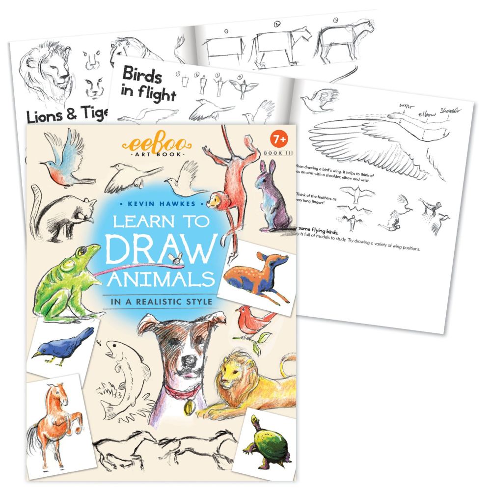 Kevin Hawkes eeBoo Learn to Draw Animals Art Book