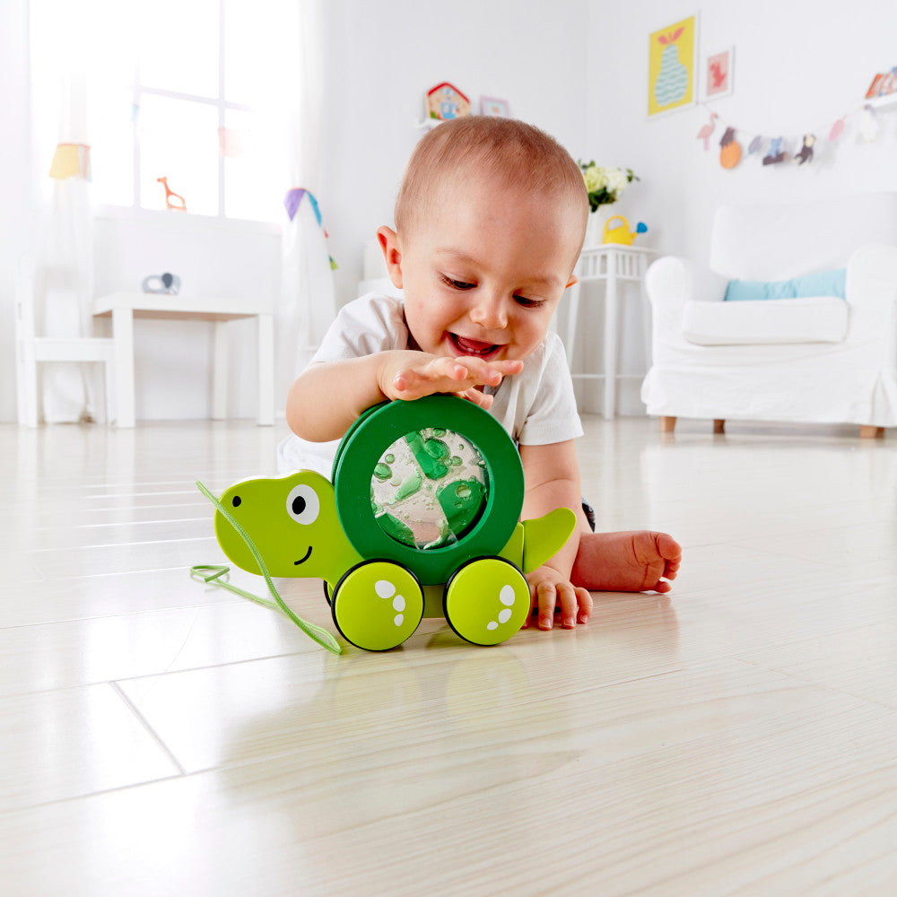 Hape: Pull Along - Tito - Wooden Green Turtle w/ Removable Water Swirling Shell