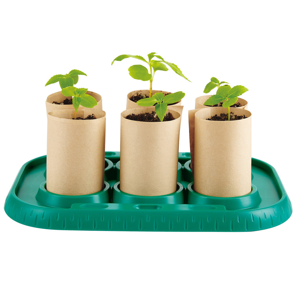 Hape: Nature Fun - Growing Gardeners Greenhouse, Kids Ages 4+