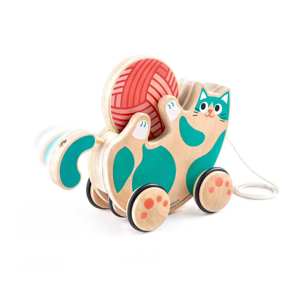 Hape Walk-A-Long Roll & Rattle Kitten - Interactive Teal Toy for Toddlers