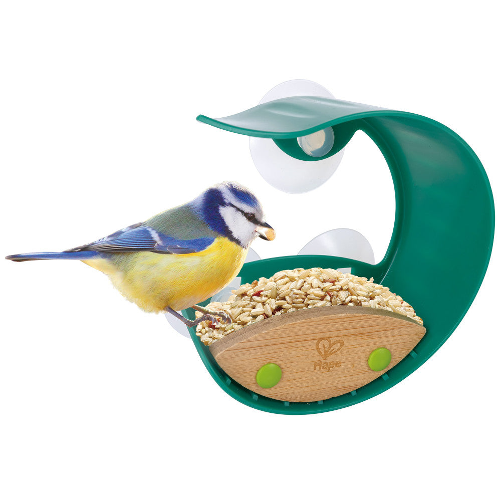 Hape: Nature Fun - Window Bird Feeder, Kids Ages 4+