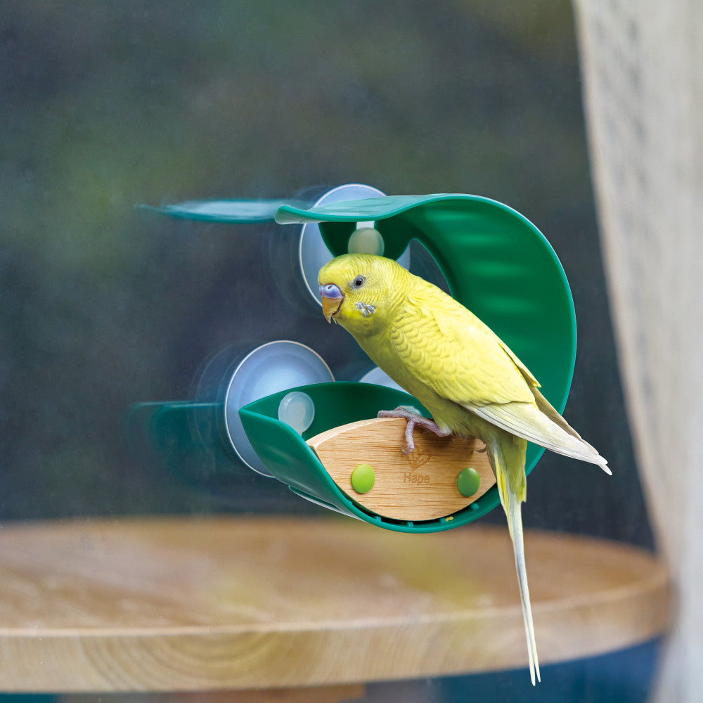 Hape: Nature Fun - Window Bird Feeder, Kids Ages 4+