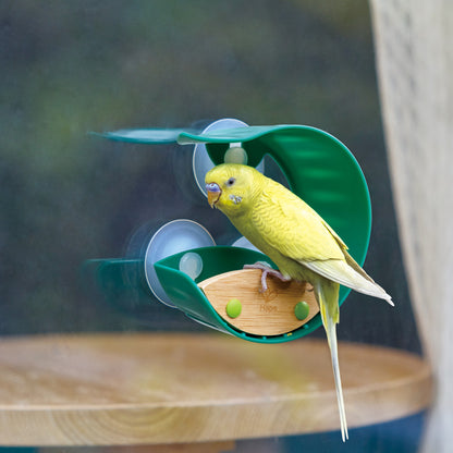 Hape: Nature Fun - Window Bird Feeder, Kids Ages 4+