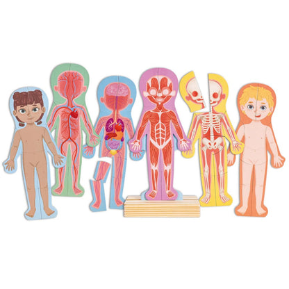 Hape: Human Body Magnetic Puzzle - 68pc