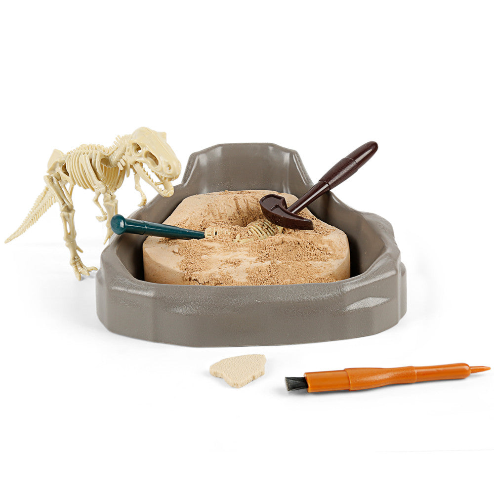 Hape: Science Can: Tyrannosaurus Rex Dinosaur Fossil Dig Kit