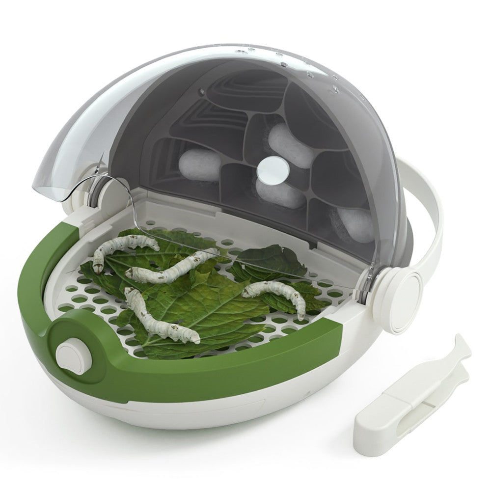 Hape: Science Can: Insects Growth Station - Grow & Observe Your Own Silkworms