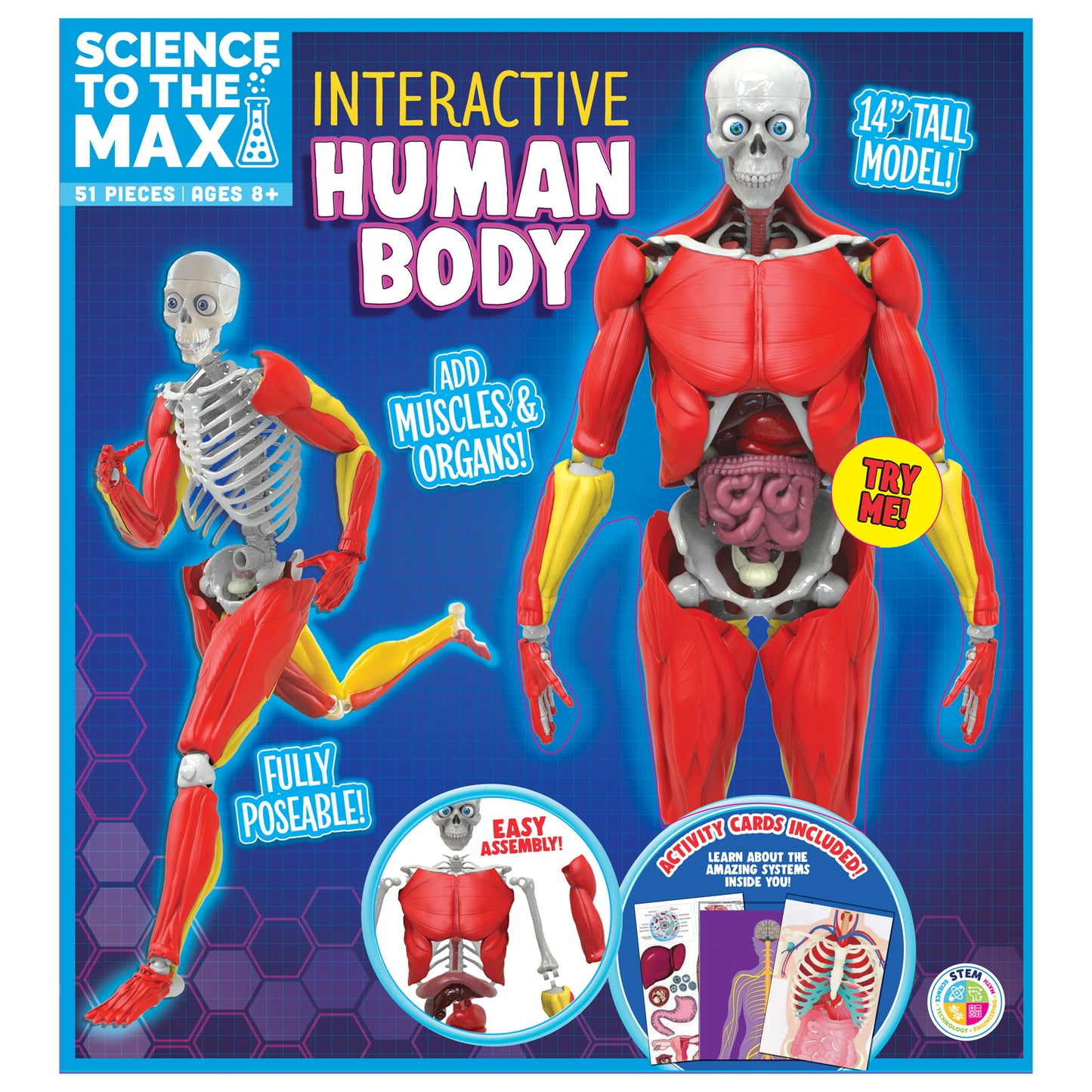 Science to the Max - Interactive Human Body Model - Educational Anatomy Toy