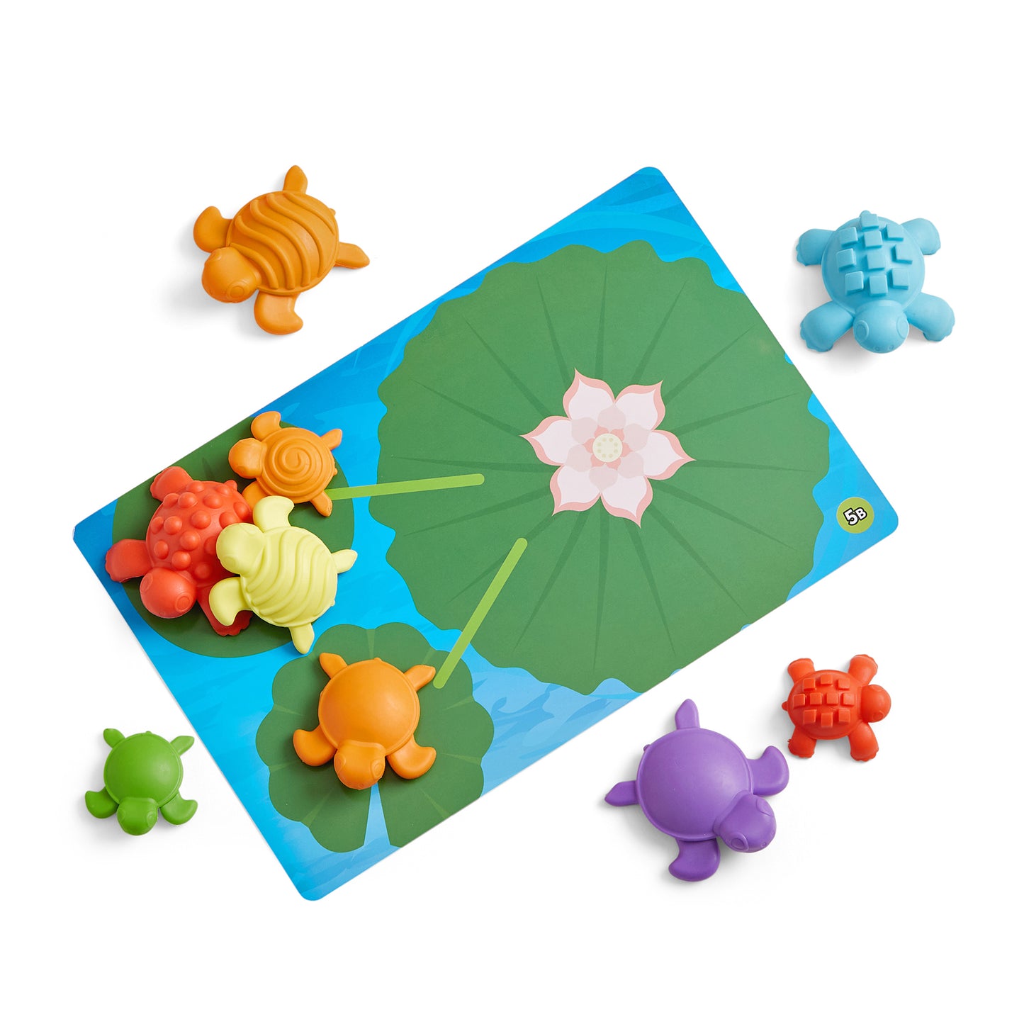 Hand2Mind Tactile Turtles - Educational Math Learning Toy Set