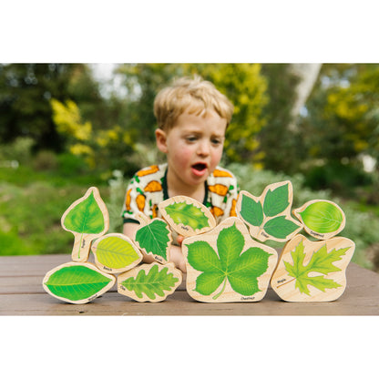 The Freckled Frog Stacking Leaves - Educational Wooden Block Set