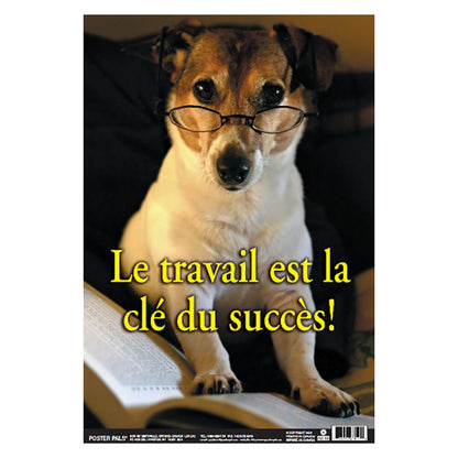 Poster Pals French Language Educational 4-Poster Set