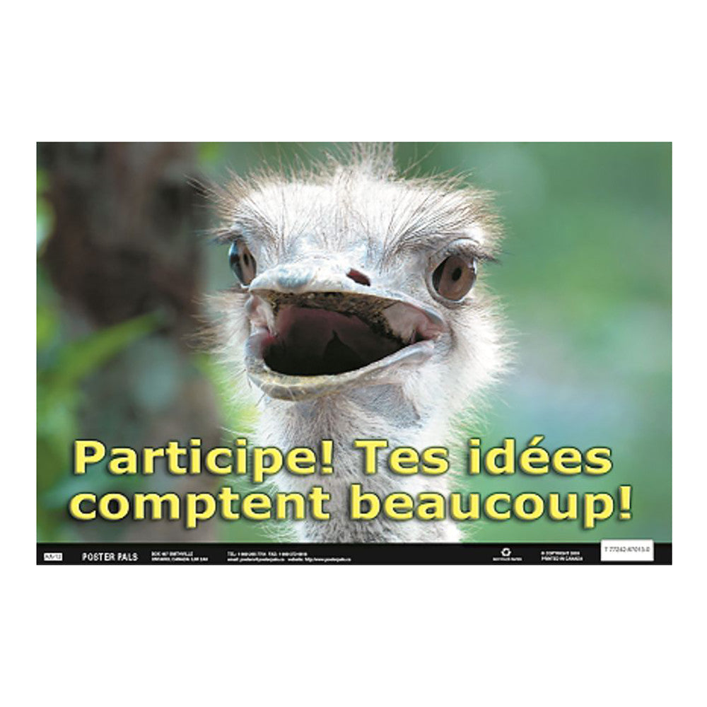 Poster Pals French Language Educational 4-Poster Set