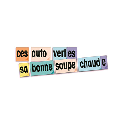 Poster Pals French Adjective Vocabulary Teaching Cards Set