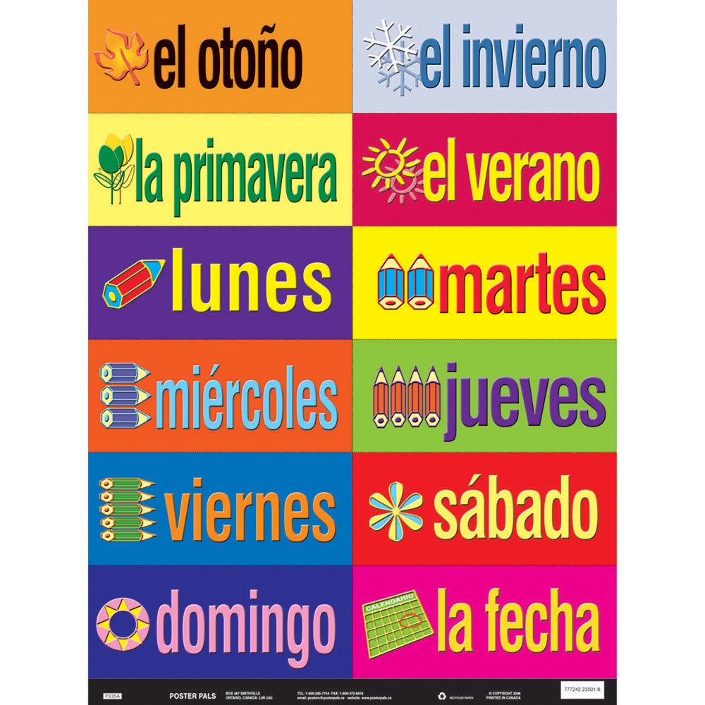 Poster Pals Spanish Vocabulary Teaching Chart Set, 36 Laminated Cards