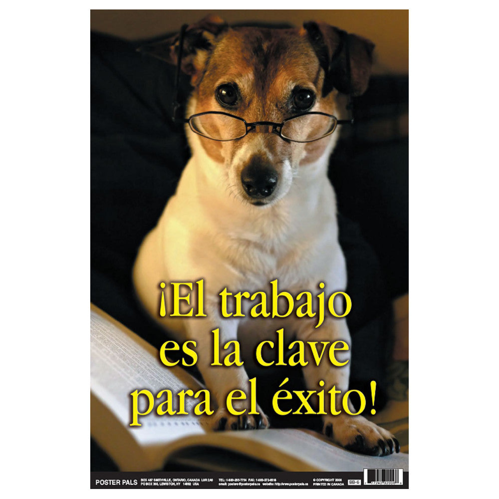 Poster Pals Spanish Language Educational Photo Posters - Set of 4