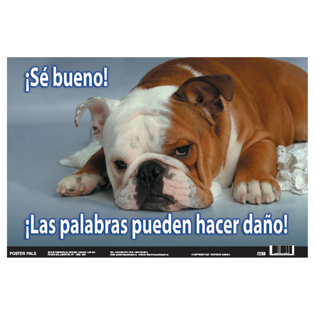 Poster Pals Spanish Language Educational Photo Posters - Set of 4