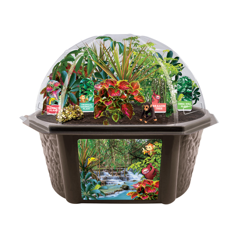 Toys By Nature Tropical Rainforest Biosphere Terrarium Kit - Multicolor