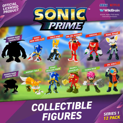 Sonic Prime 2.5" Collectible Action Figures - 12 Pack Deluxe Box