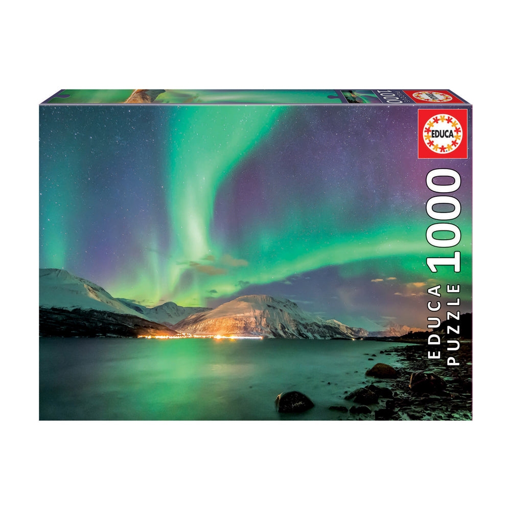 Educa Aurora Borealis Jigsaw Puzzle - 1000 pc