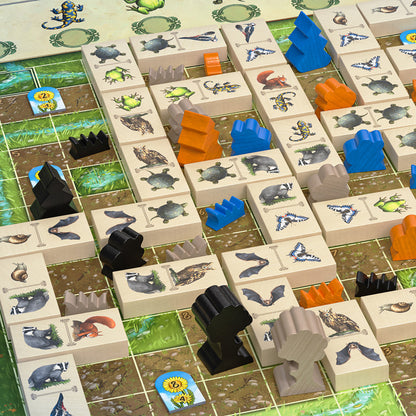 Renature Board Game: Restore Ecosystems in Strategic Play, Ages 14+