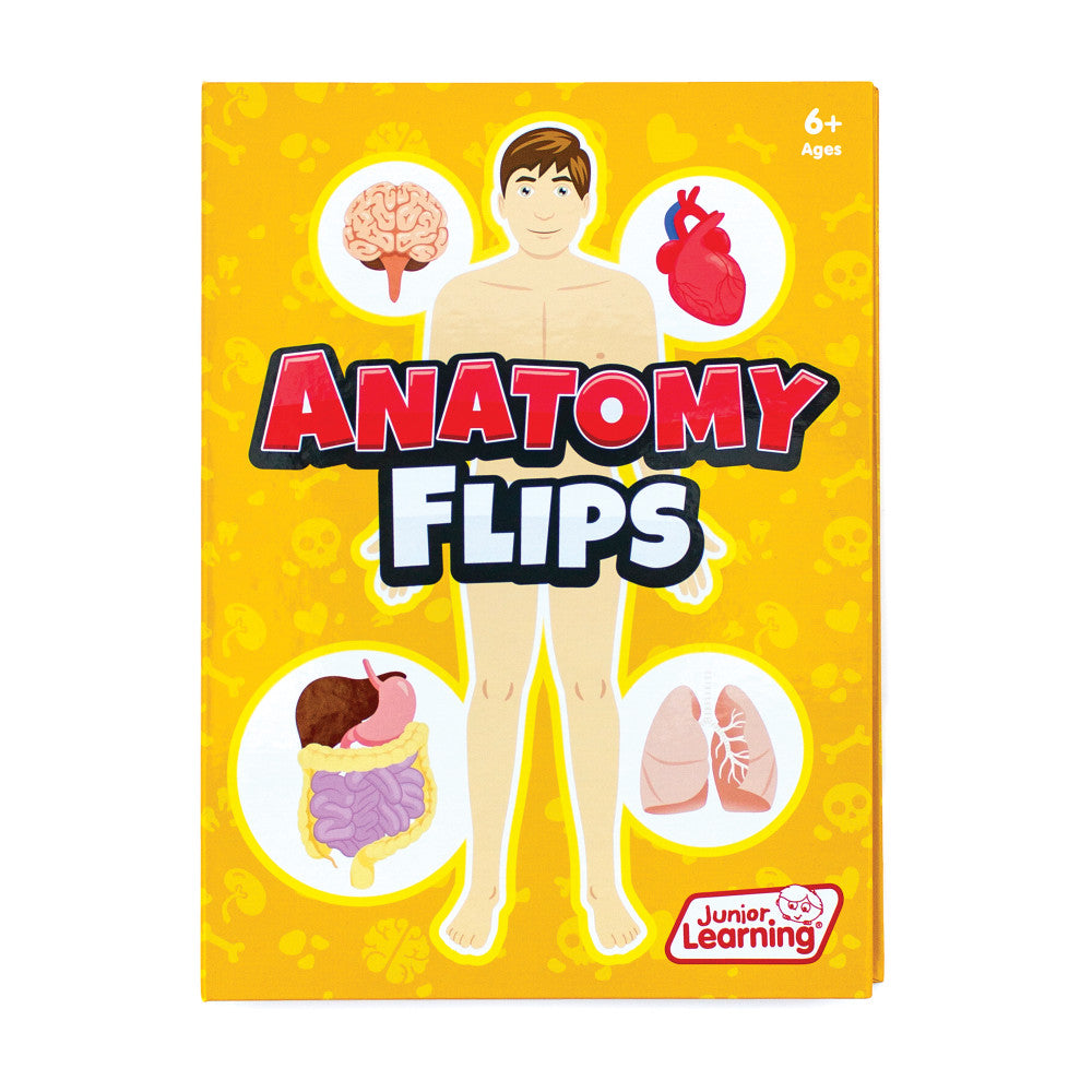 Junior Learning Anatomy Flips - Interactive Human Body Exploration Set