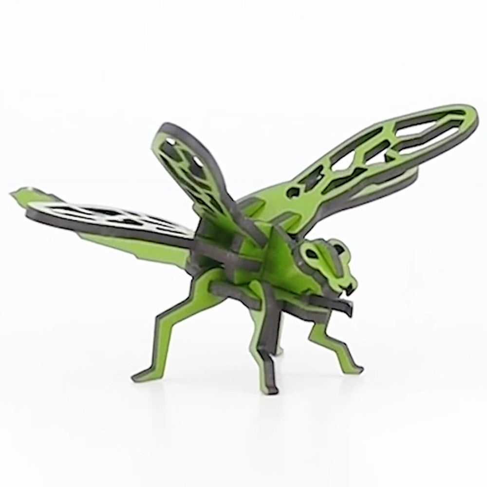 Little & Wood: Woodlet: Small - Dragonfly - Green, 3D Wooden Kit-Set