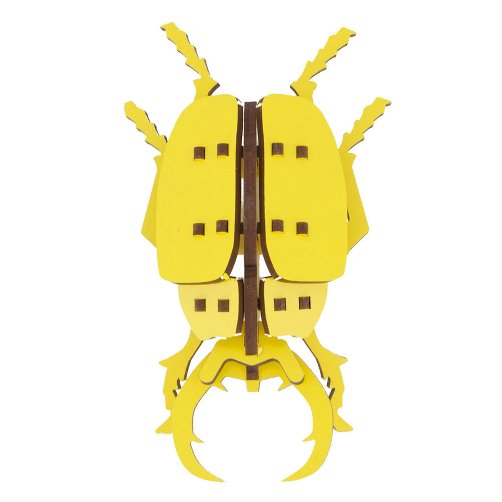 Little & Wood: Woodlet: Small - Beetle - Yellow, 3D Wooden Kit-Set