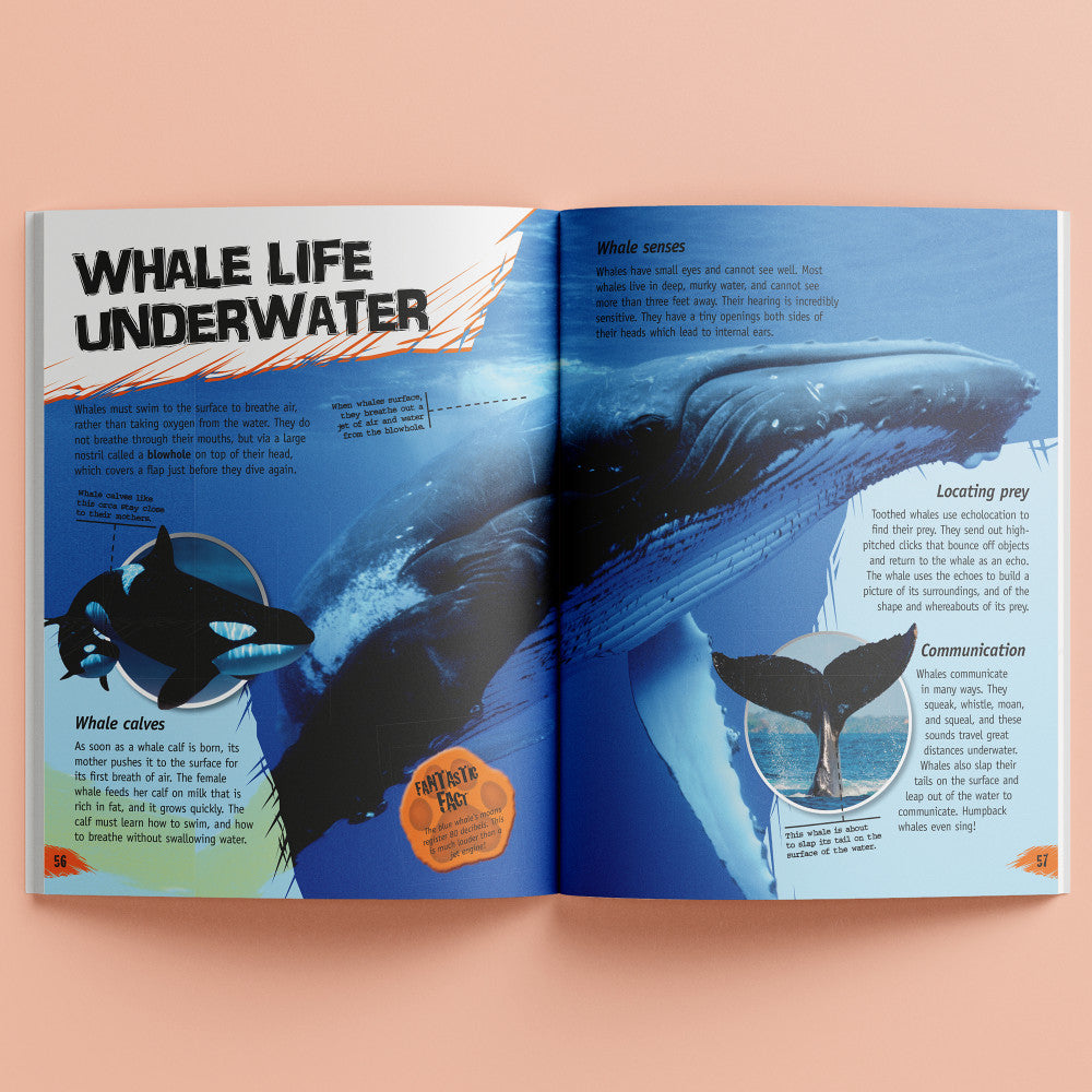 Incredible But True: Animals - Explorative Kids Hardcover Book