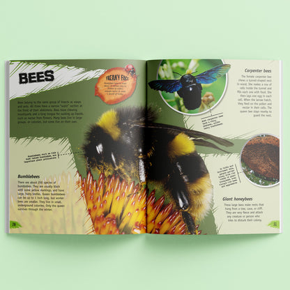 Incredible But True: Bugs & Insects - Kids Educational Hardcover Book