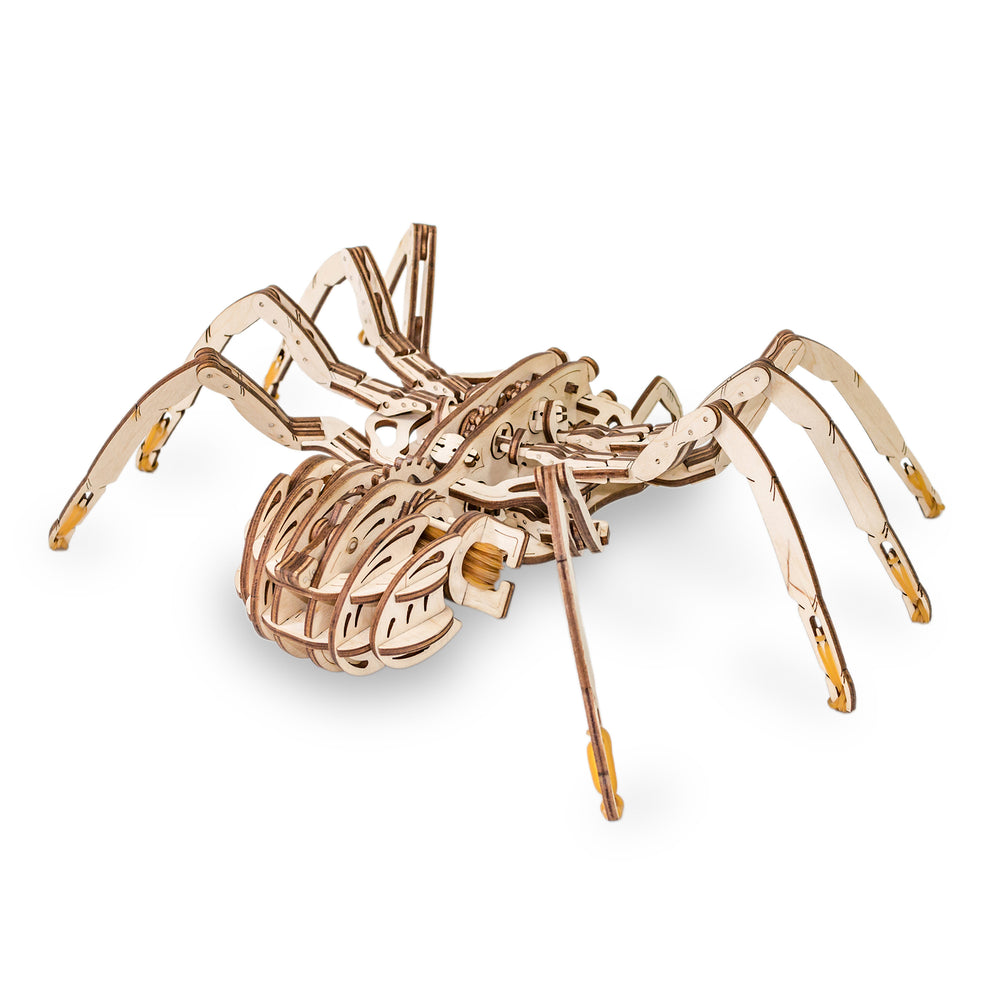 EWA Eco-Wood-Art Spider 3D Wooden STEM Construction Kit