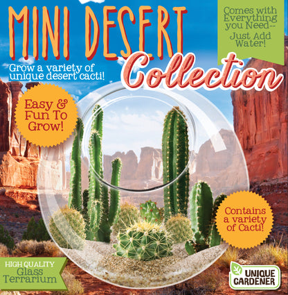 EcoSphere - Mini Desertscape - Vibrant Glass Terrarium Kit