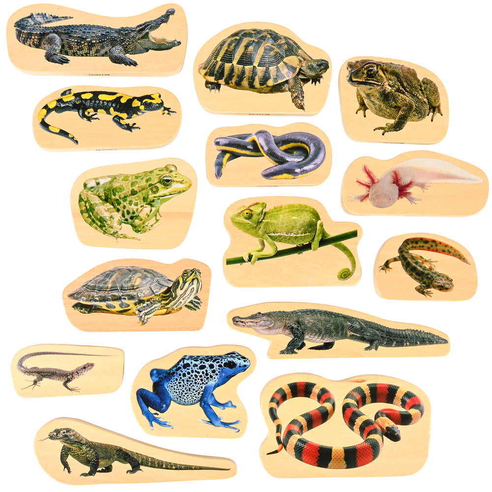 TickiT Wooden Reptile & Amphibian Blocks - 15-Piece Set