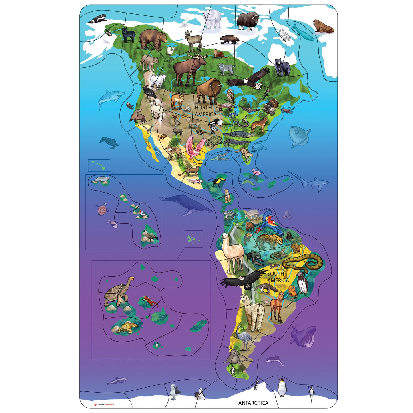 Dowling Magnets Animal Magnetism Wildlife Map Puzzle - Magnetic North & South America