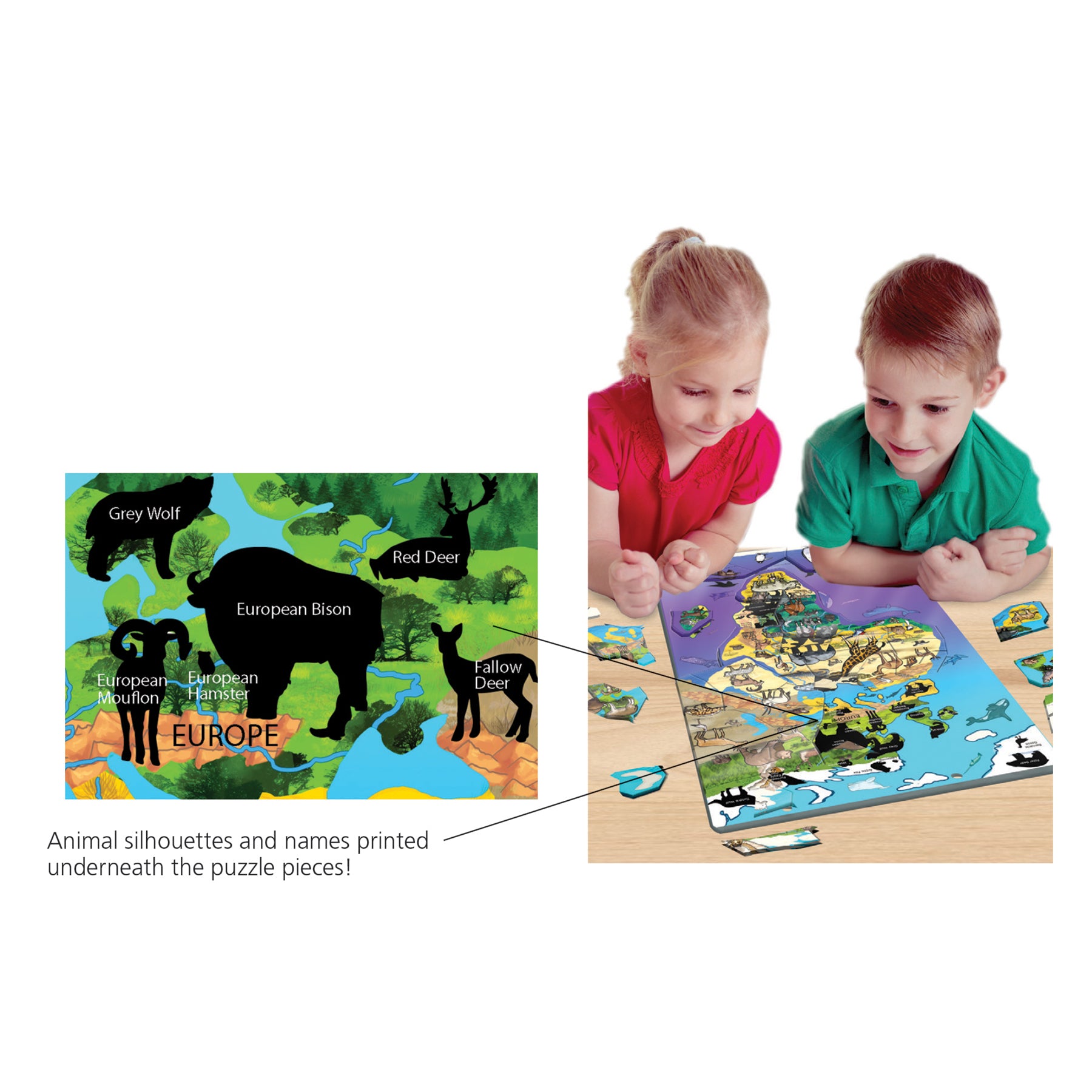 Dowling Magnets Animal Magnetism Magnetic Wildlife Map Puzzle - Eurasia & Africa