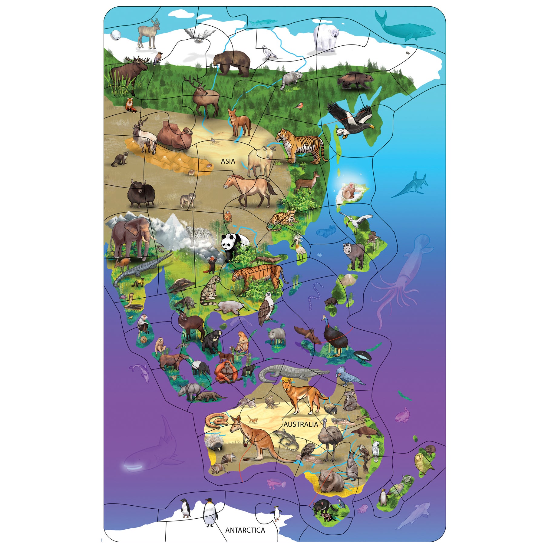 Dowling Magnets Animal Magnetism Magnetic Wildlife Map Puzzle - Asia & Australia