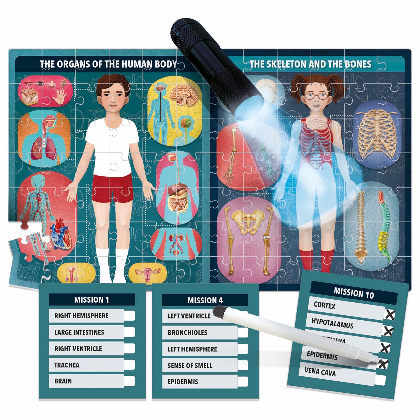 Headu X-Ray Vision Human Body Exploration Kit