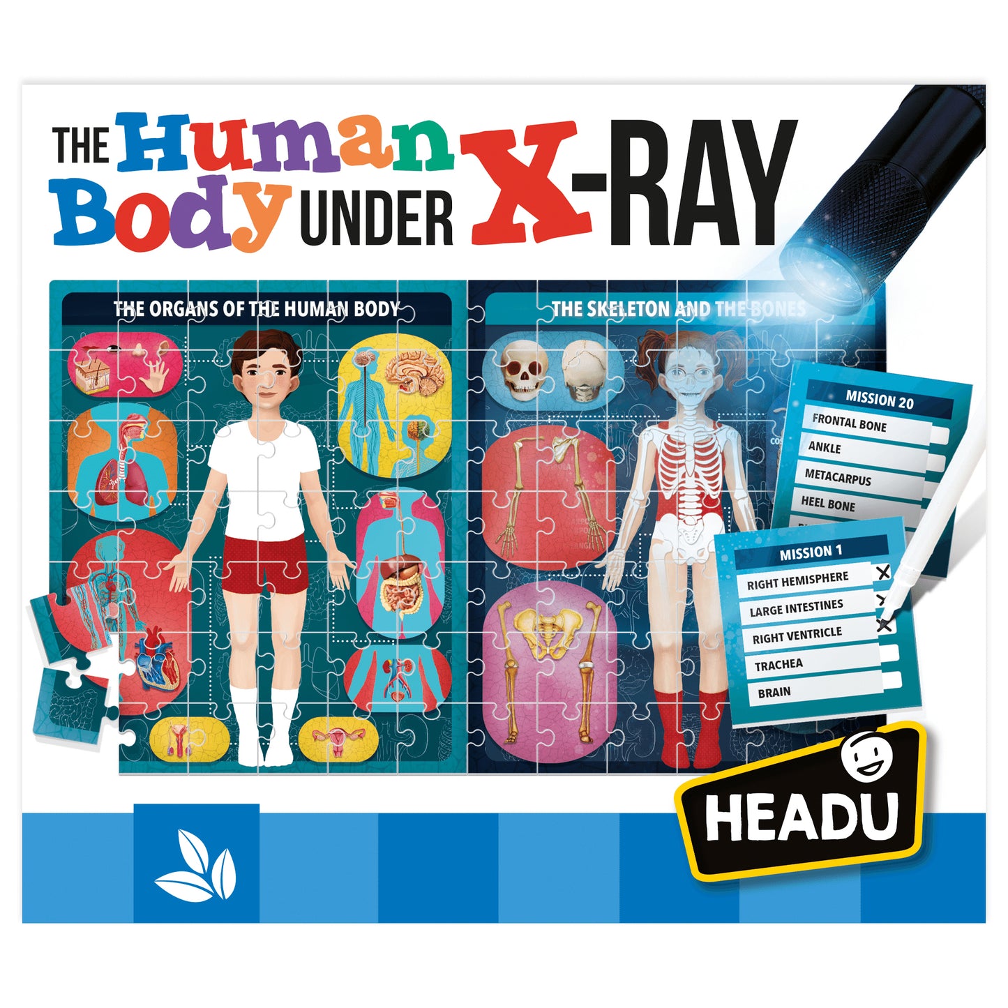 Headu X-Ray Vision Human Body Exploration Kit