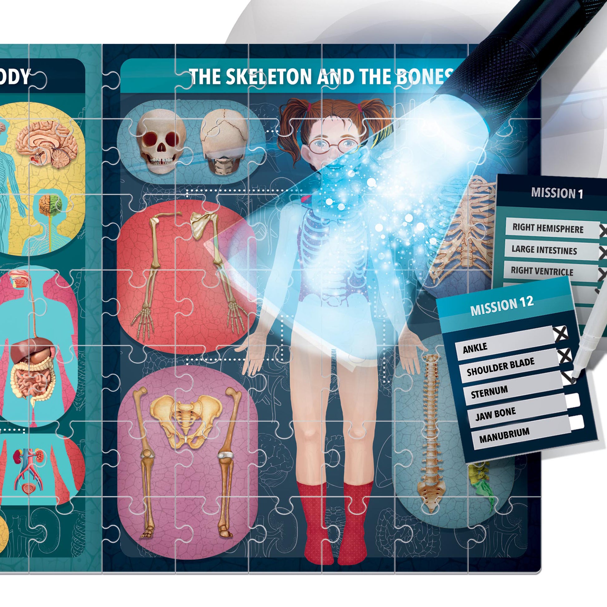 Headu X-Ray Vision Human Body Exploration Kit