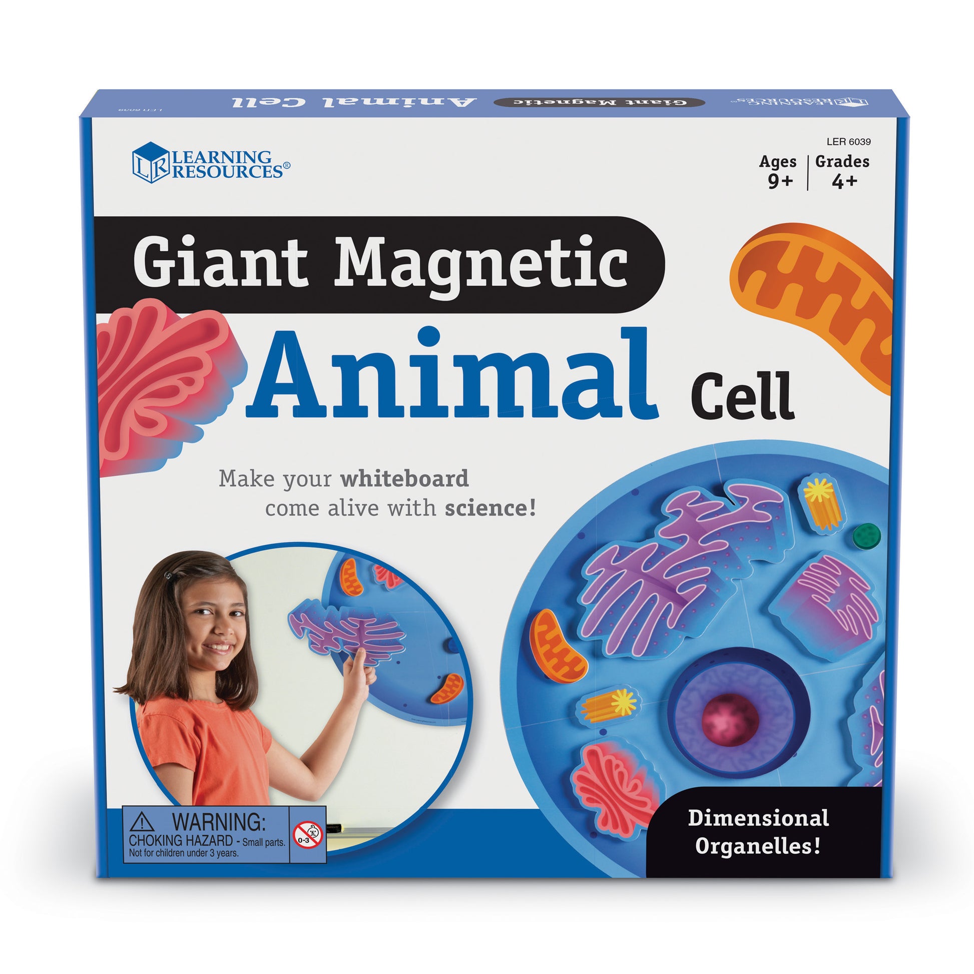 Learning Resources Giant Magnetic Animal Cell Model - Educational Toy