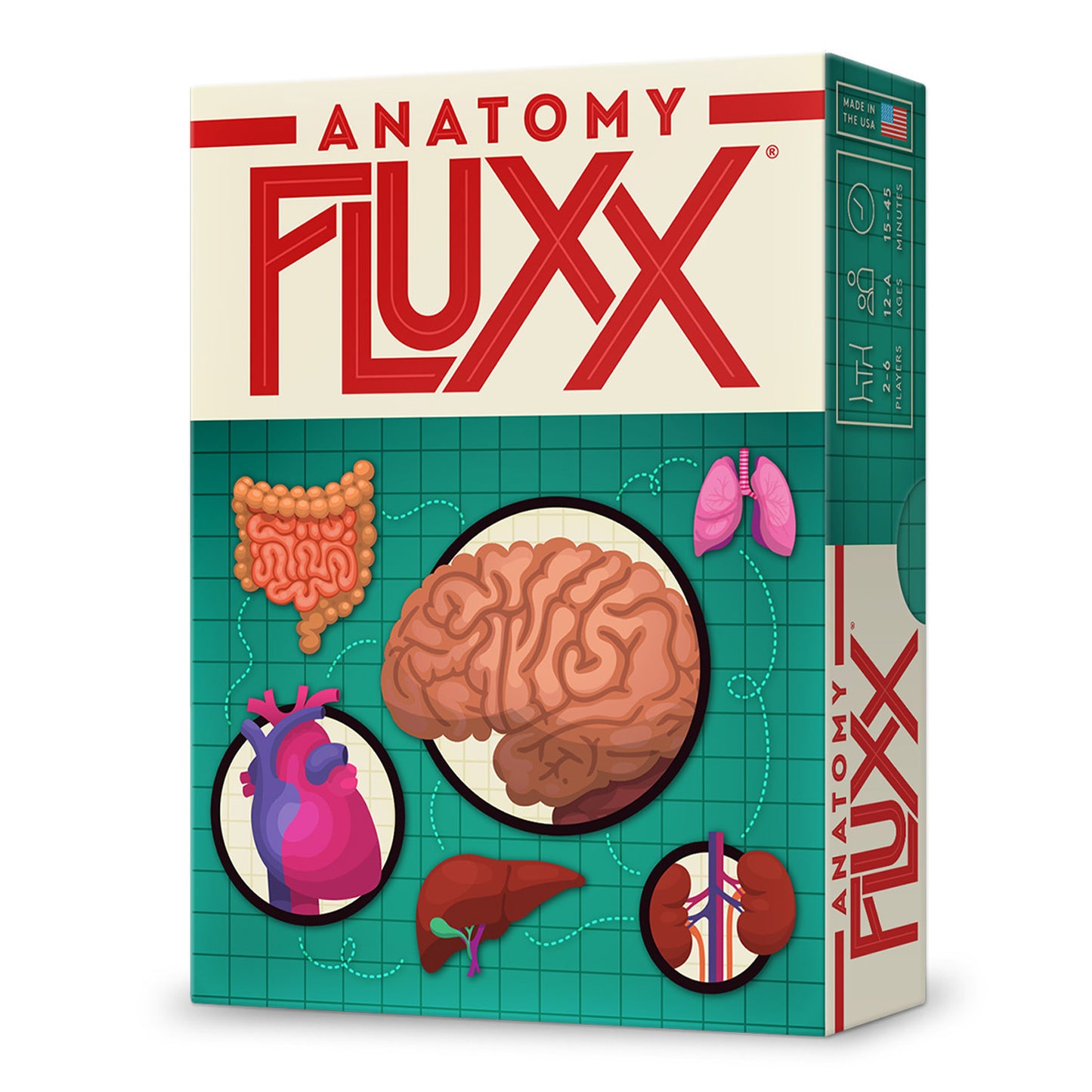 Looney Labs Anatomy Fluxx Educational Card Game